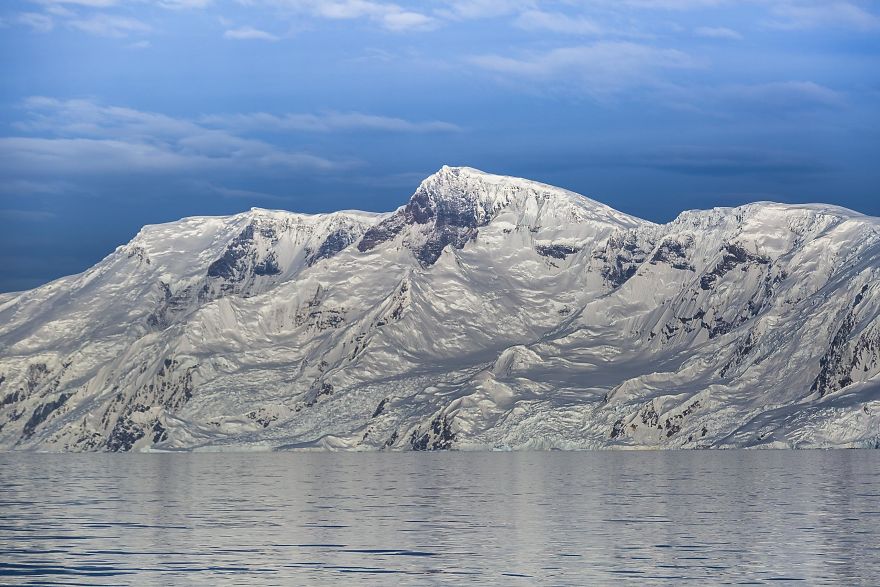 How Antarctic Penguins Adapt To Climate Change: Unhappy Feet