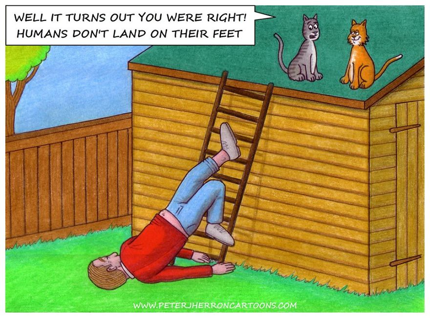 15 Hilarious Animal Cartoons That Will Make You See Them In A Totally New Light