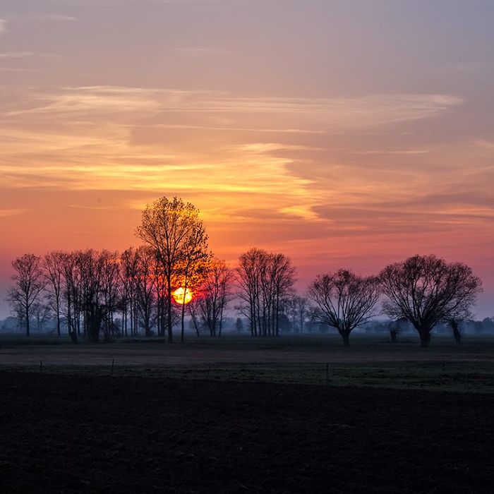 I Photograph The Beautiful Nature Of Poland I Photograph The Beautiful Nature Of Poland