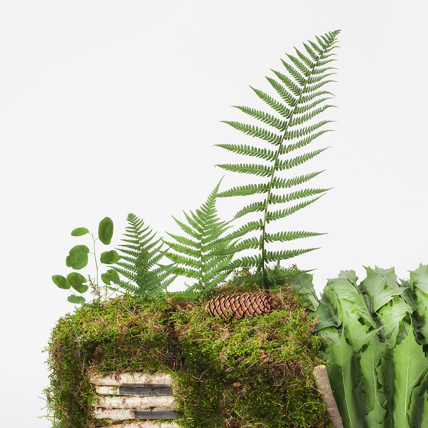 I Made Accordion Sculptures From Moss, Candies And Concrete I Made Accordion Sculptures From Moss, Candies And Concrete