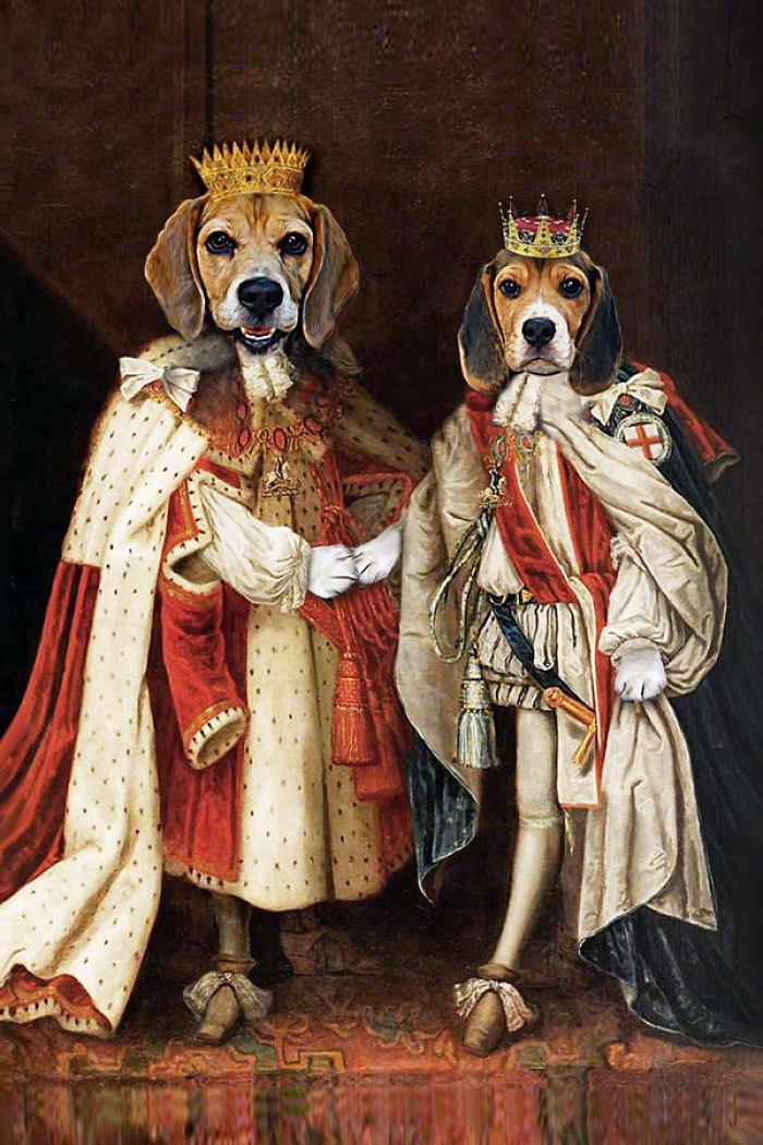 King James & King Charles - "the Regal Beagle Brothers"