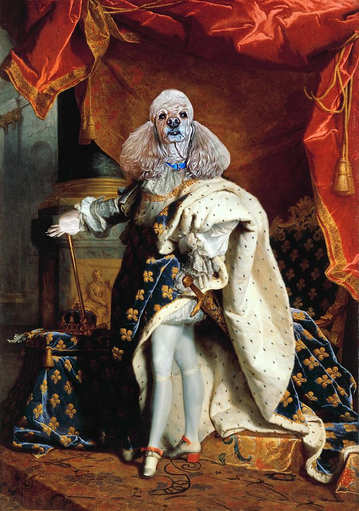 King Louis Xiv - "king Poodlie Xiv"