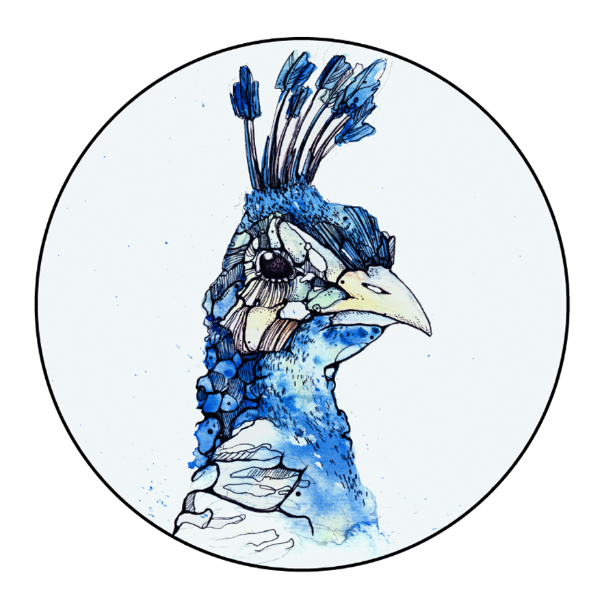 I Painted Watercolour Animal Illustrations Representing Different Parts On An Ad Agency