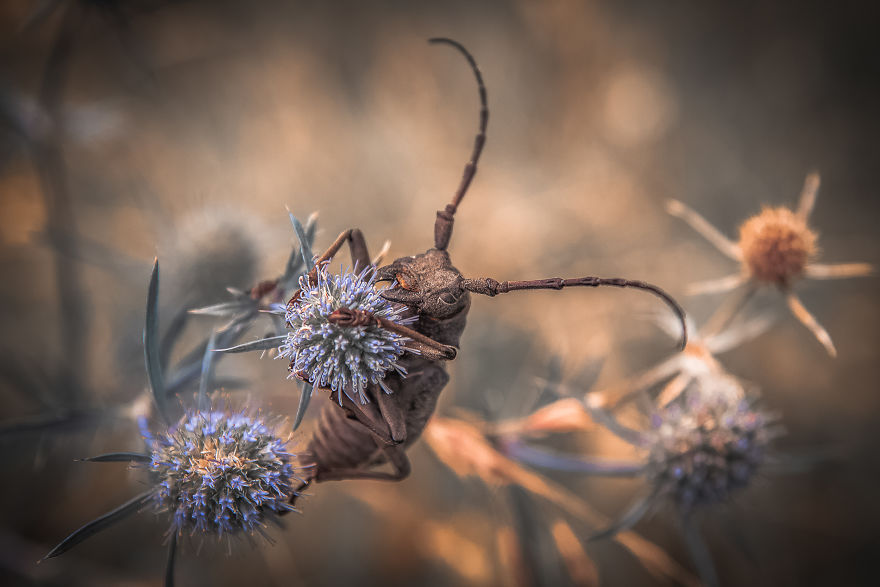 I Spend My Days Capturing The Raw Beauty Of Nature I Spend My Days Capturing The Raw Beauty Of Nature