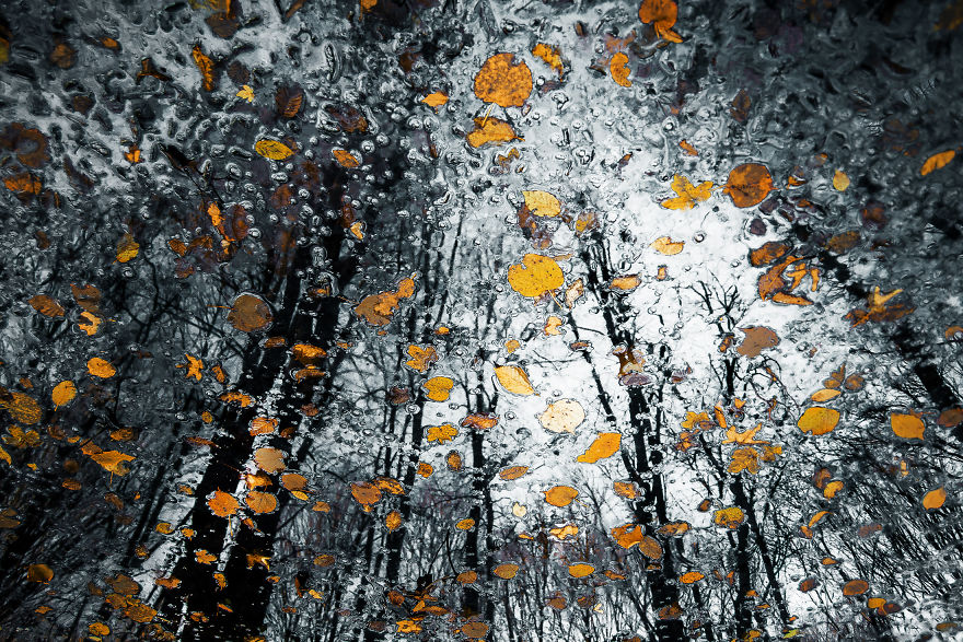 I Spend My Days Capturing The Raw Beauty Of Nature I Spend My Days Capturing The Raw Beauty Of Nature