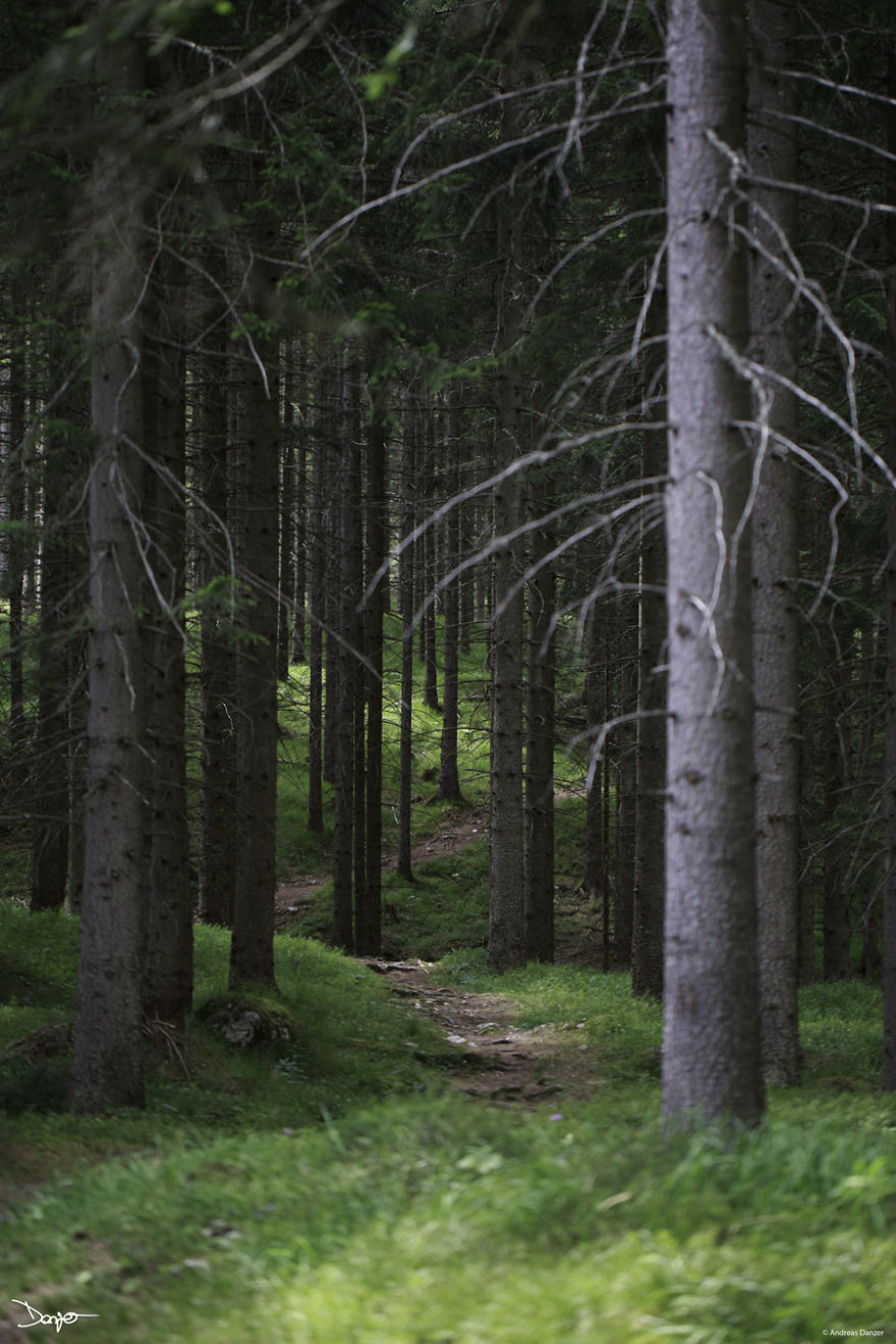 I Spent A Lot Of Time Processing My Photos... For Some Reason