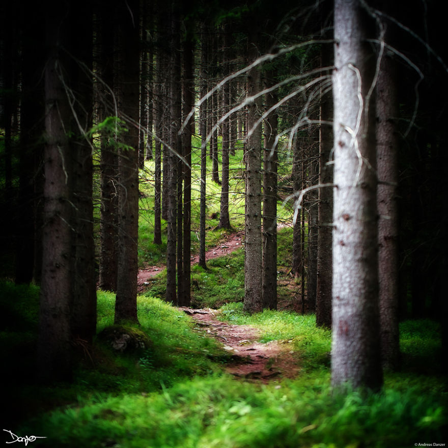 I Spent A Lot Of Time Processing My Photos... For Some Reason