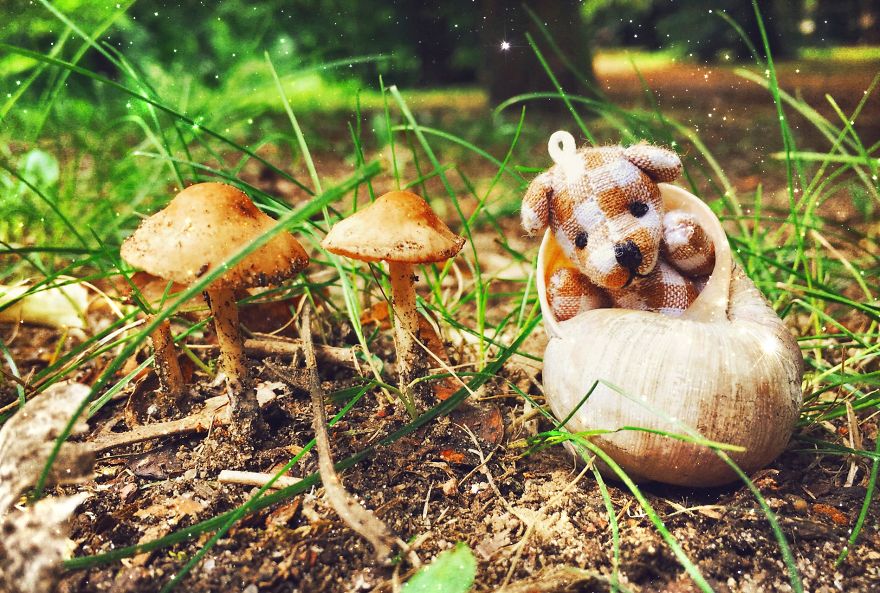 I Took Pictures Of A Little Bear To Illustrate My Fairy Tale Book I Wrote For My Daughter