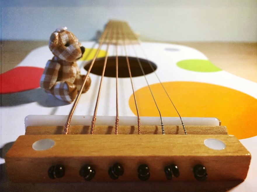 I Took Pictures Of A Little Bear To Illustrate My Fairy Tale Book I Wrote For My Daughter