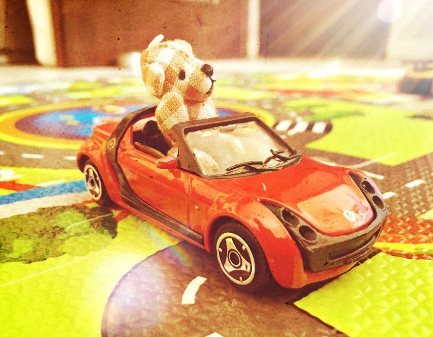 I Took Pictures Of A Little Bear To Illustrate My Fairy Tale Book I Wrote For My Daughter