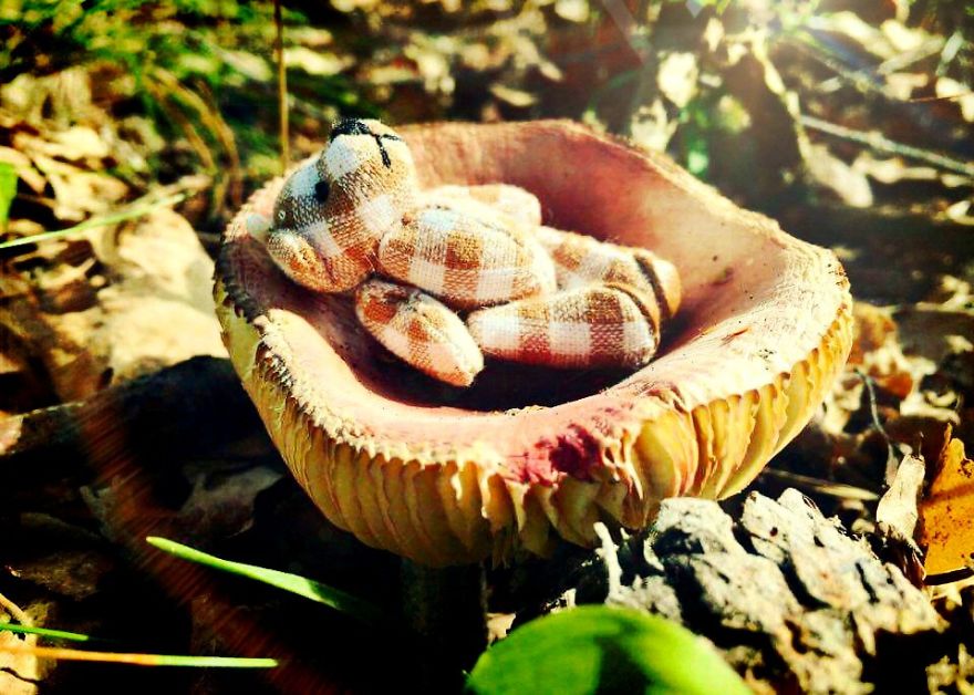 I Took Pictures Of A Little Bear To Illustrate My Fairy Tale Book I Wrote For My Daughter