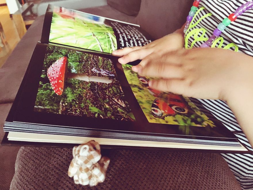 I Took Pictures Of A Little Bear To Illustrate My Fairy Tale Book I Wrote For My Daughter