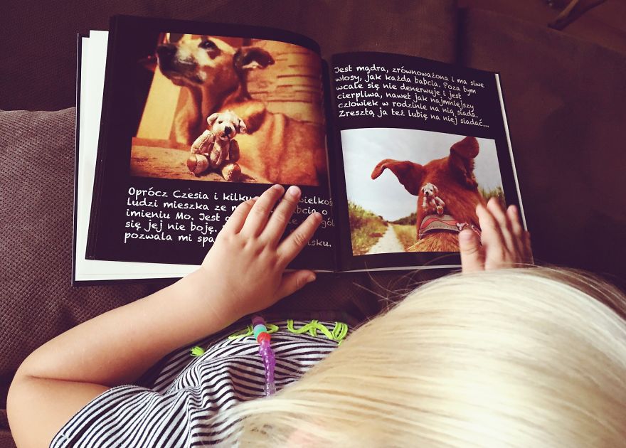 I Took Pictures Of A Little Bear To Illustrate My Fairy Tale Book I Wrote For My Daughter