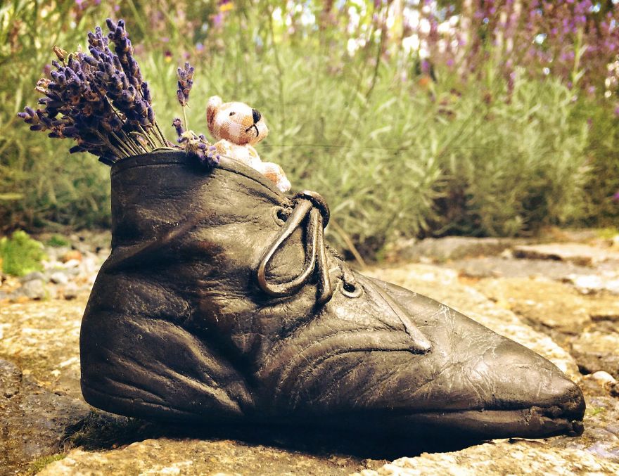 I Took Pictures Of A Little Bear To Illustrate My Fairy Tale Book I Wrote For My Daughter