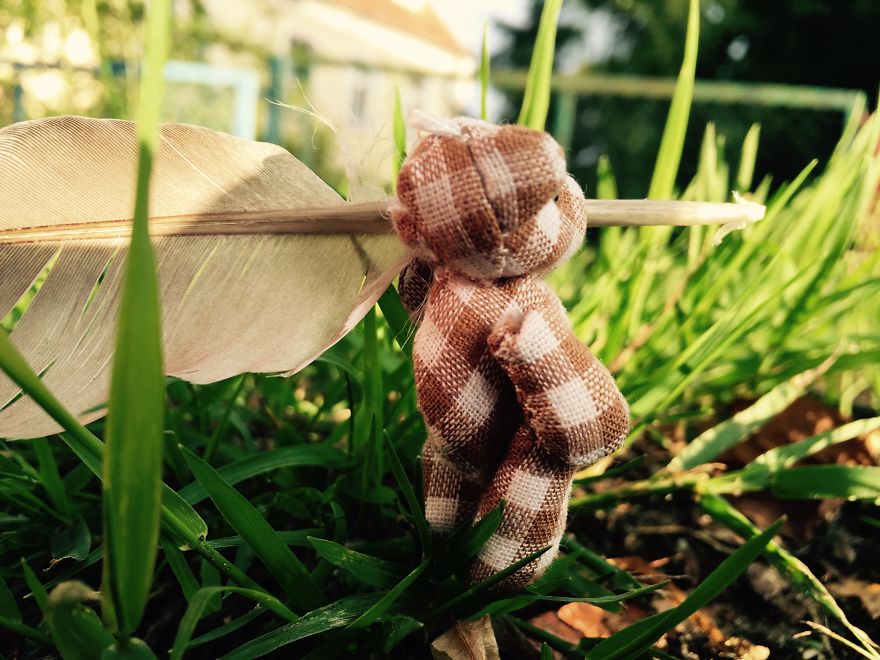 I Took Pictures Of A Little Bear To Illustrate My Fairy Tale Book I Wrote For My Daughter