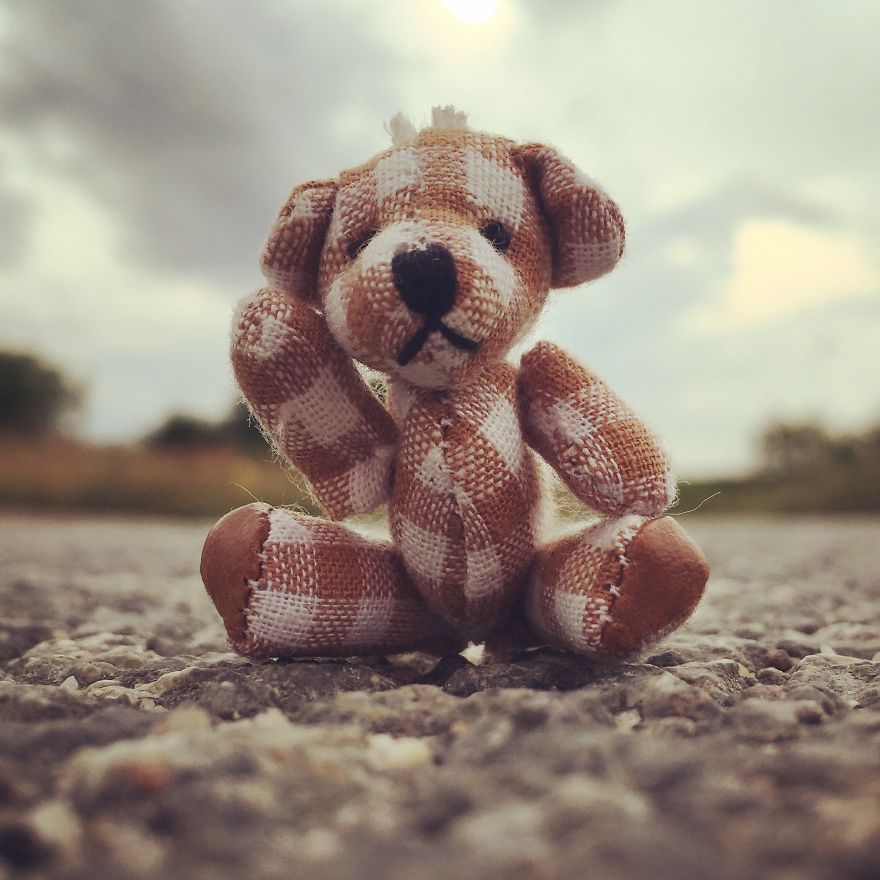 I Took Pictures Of A Little Bear To Illustrate My Fairy Tale Book I Wrote For My Daughter