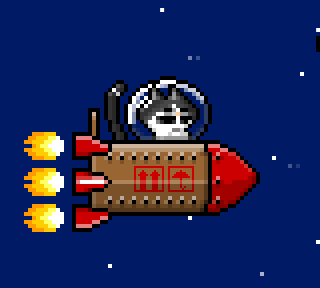 I Turned My Sick Cat Into Pixel Art And Send Her On A Grand Space Adventure