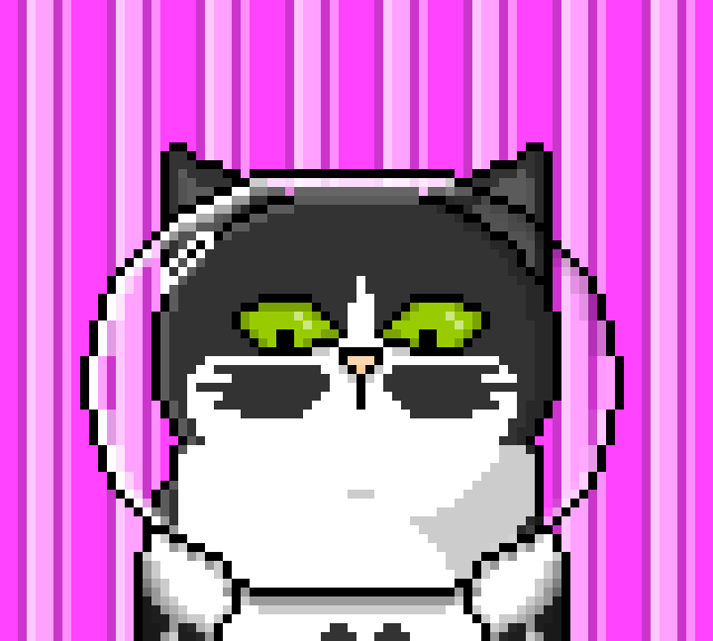 I Turned My Sick Cat Into Pixel Art And Send Her On A Grand Space Adventure