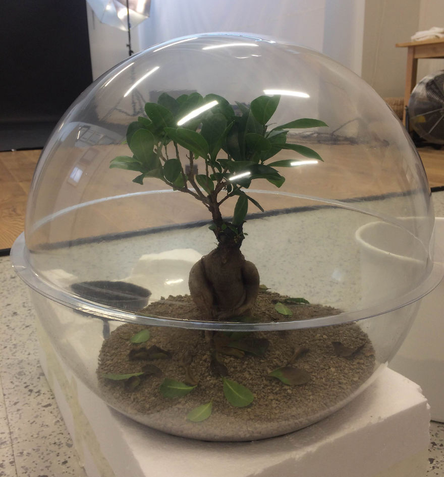 I Visioned How Running Out Of Clean Air Looks Like