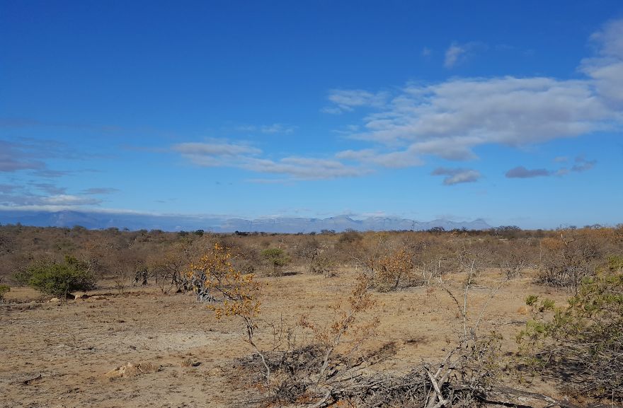 We Visited Kruger National Park Last Month And It Was A Life Changing Experience We Visited Kruger National Park Last Month And It Was A Life Changing Experience