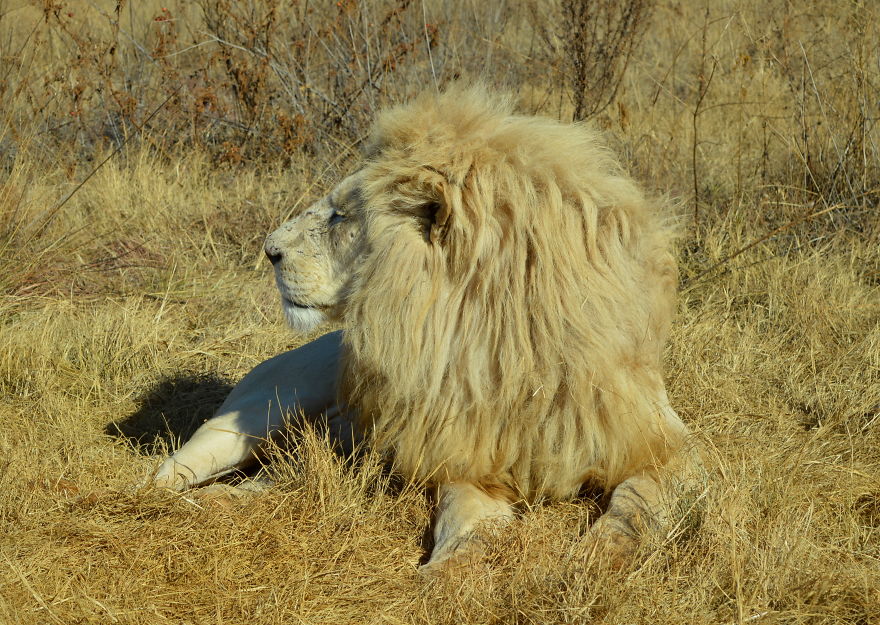 We Visited Kruger National Park Last Month And It Was A Life Changing Experience