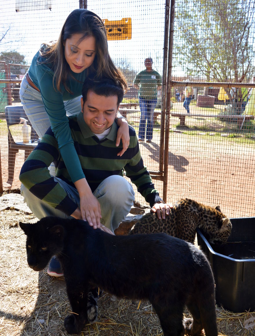 We Visited Kruger National Park Last Month And It Was A Life Changing Experience