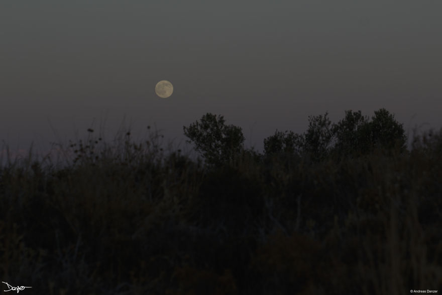 I Spent A Lot Of Time Processing My Photos... For Some Reason