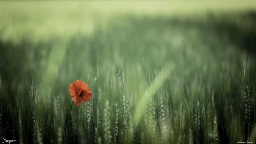 I Spent A Lot Of Time Processing My Photos... For Some Reason