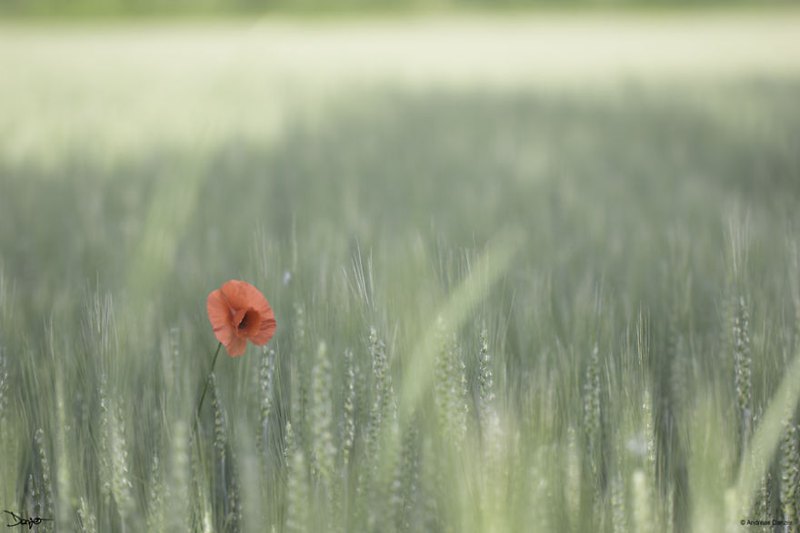 I Spent A Lot Of Time Processing My Photos... For Some Reason I Spent A Lot Of Time Processing My Photos... For Some Reason