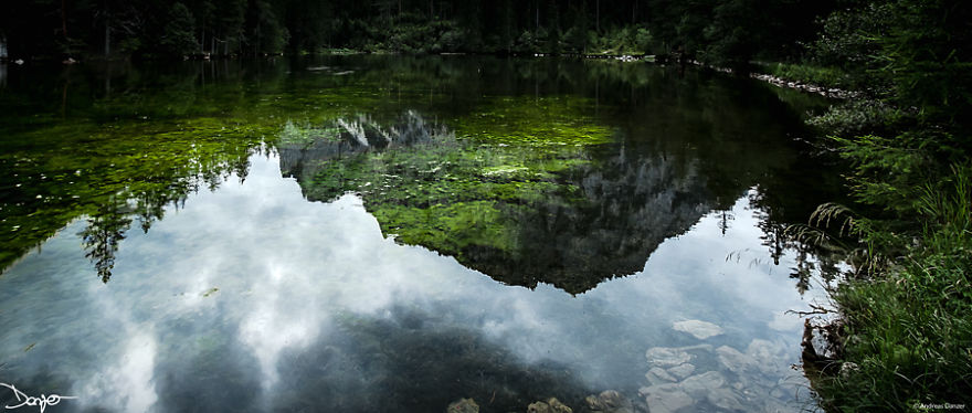 I Spent A Lot Of Time Processing My Photos... For Some Reason I Spent A Lot Of Time Processing My Photos... For Some Reason