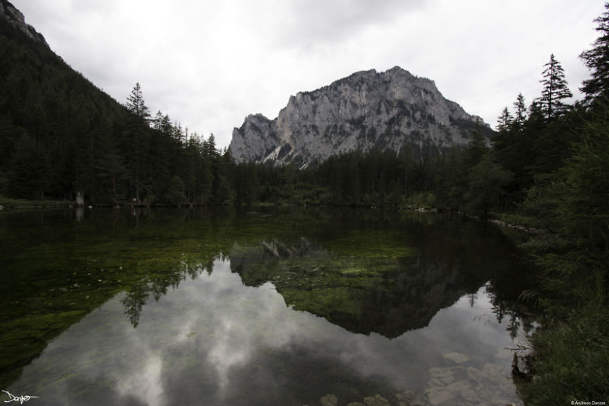 I Spent A Lot Of Time Processing My Photos... For Some Reason I Spent A Lot Of Time Processing My Photos... For Some Reason