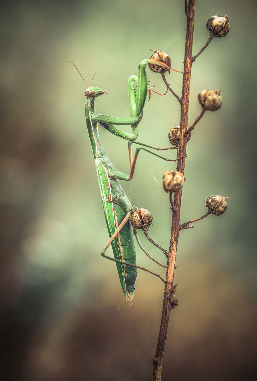 I Spend My Days Capturing The Raw Beauty Of Nature I Spend My Days Capturing The Raw Beauty Of Nature