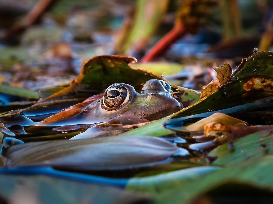 I Spend My Days Capturing The Raw Beauty Of Nature I Spend My Days Capturing The Raw Beauty Of Nature