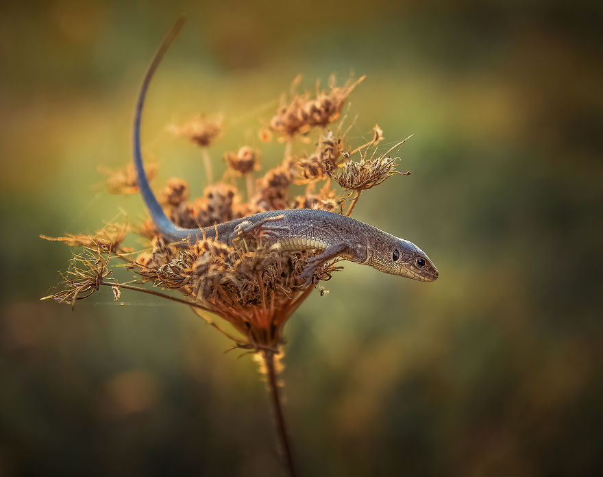 I Spend My Days Capturing The Raw Beauty Of Nature I Spend My Days Capturing The Raw Beauty Of Nature