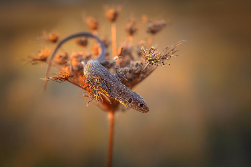 I Spend My Days Capturing The Raw Beauty Of Nature I Spend My Days Capturing The Raw Beauty Of Nature