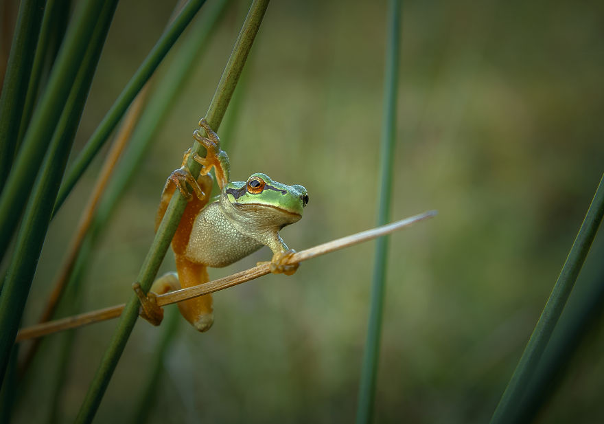 I Spend My Days Capturing The Raw Beauty Of Nature I Spend My Days Capturing The Raw Beauty Of Nature