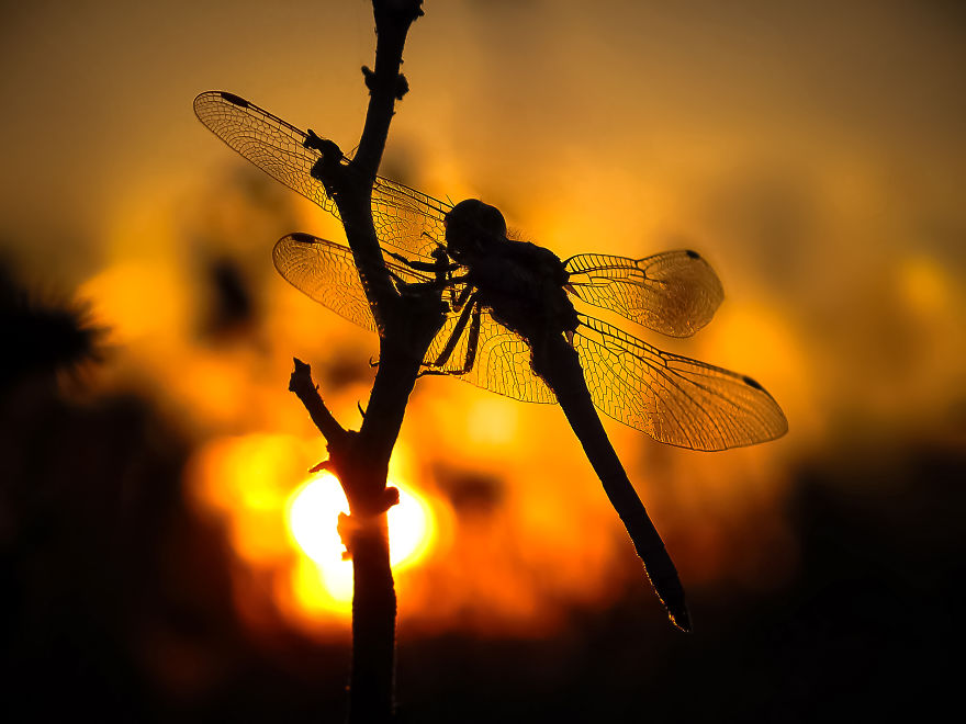 I Spend My Days Capturing The Raw Beauty Of Nature I Spend My Days Capturing The Raw Beauty Of Nature