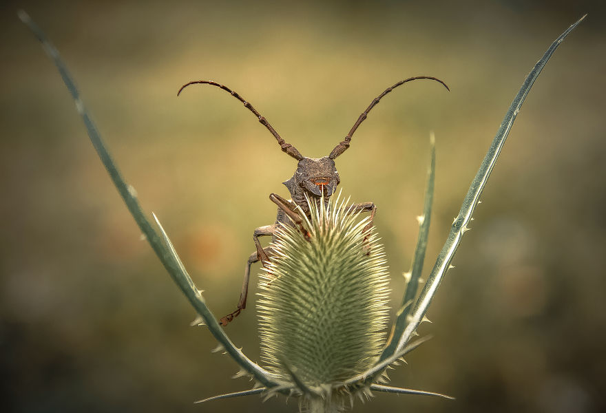 I Spend My Days Capturing The Raw Beauty Of Nature