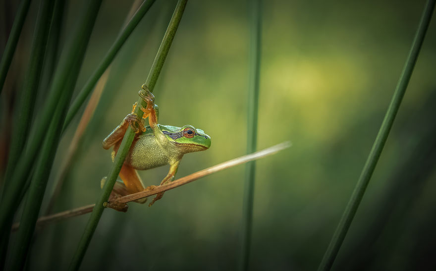 I Spend My Days Capturing The Raw Beauty Of Nature I Spend My Days Capturing The Raw Beauty Of Nature