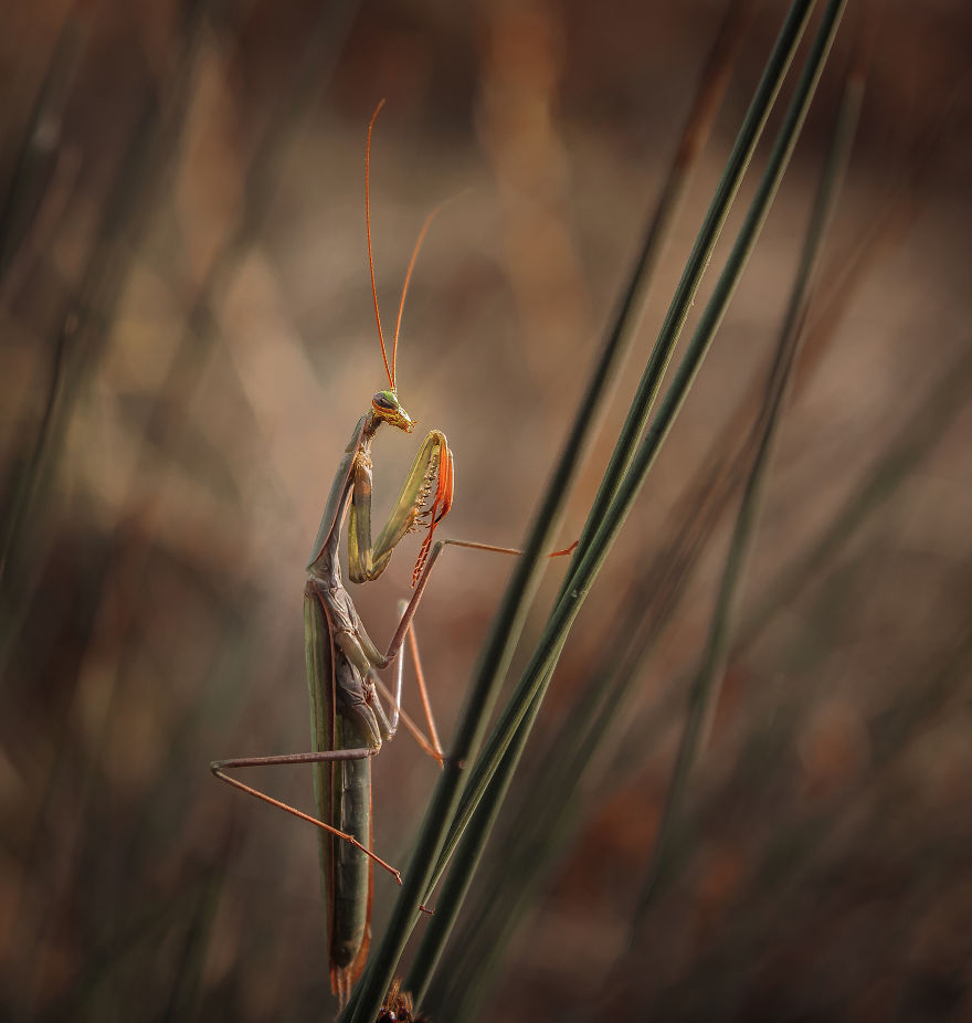 I Spend My Days Capturing The Raw Beauty Of Nature I Spend My Days Capturing The Raw Beauty Of Nature