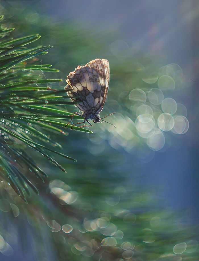 I Photograph The Beautiful Nature Of Poland