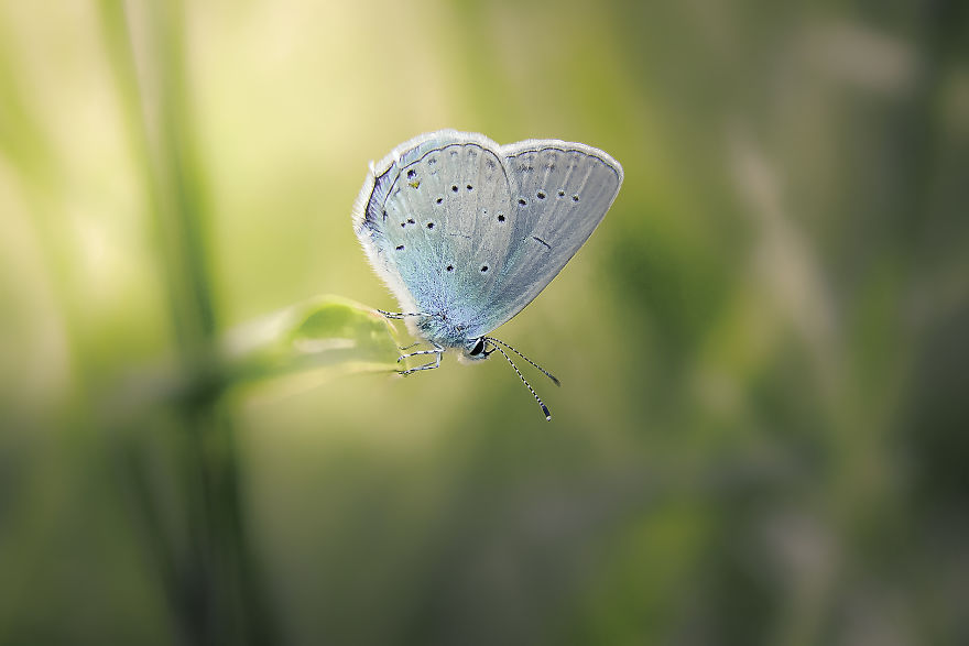 I Spend My Days Capturing The Raw Beauty Of Nature I Spend My Days Capturing The Raw Beauty Of Nature