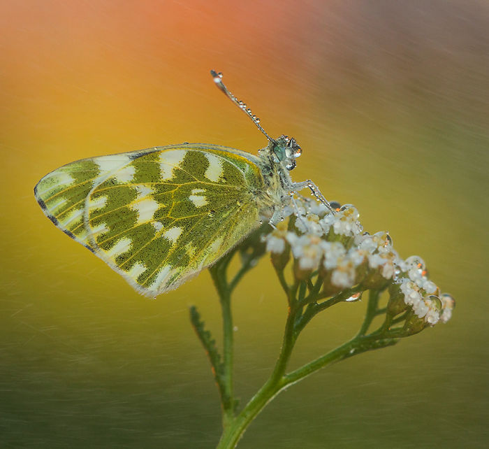 I Photograph The Beautiful Nature Of Poland