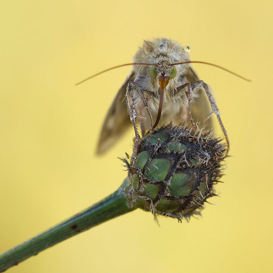 I Photograph The Beautiful Nature Of Poland