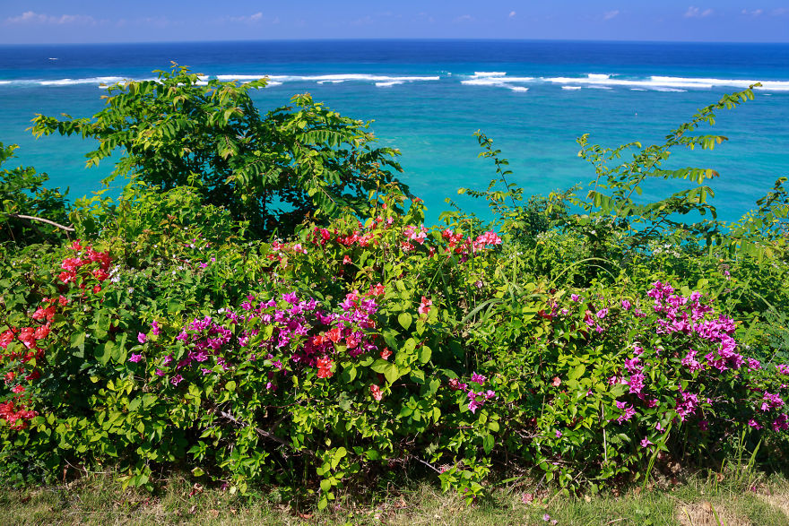 I've Never Believed In The Idea Of Paradise... 'till Now!