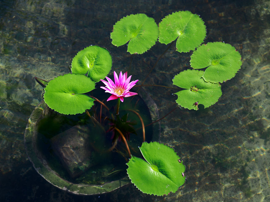 I've Never Believed In The Idea Of Paradise... 'till Now!