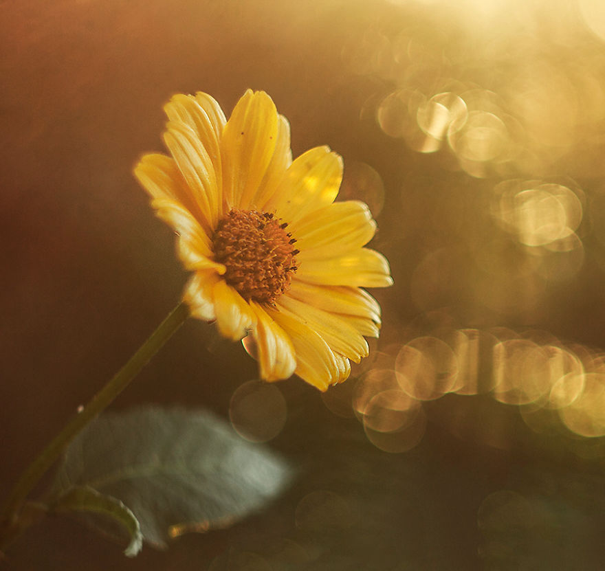 I Photograph The Beautiful Nature Of Poland