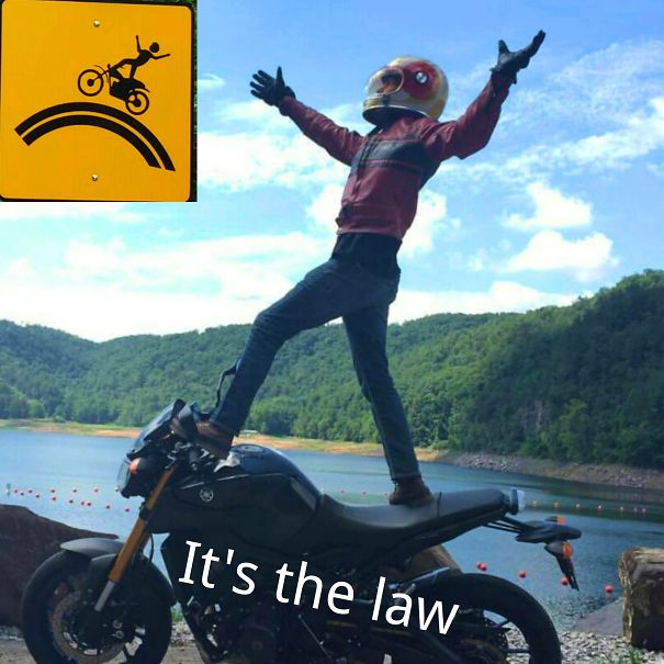 But Officer, Seriously...there Are Signs Everywhere.