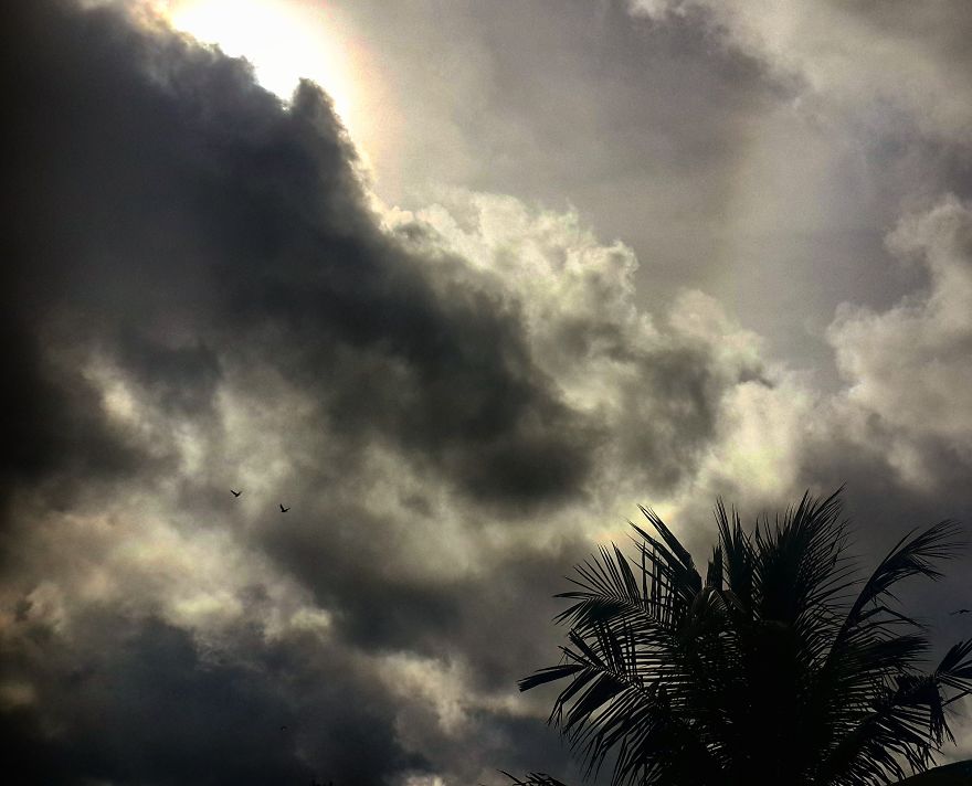 I Love Taking Pictures Of The Sky