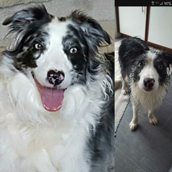 It's All Fun And Games Until It Is Bath Time!